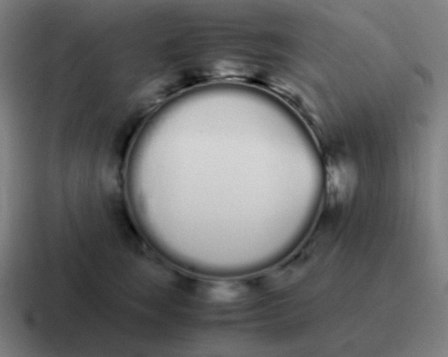 X0000116840663200912312056