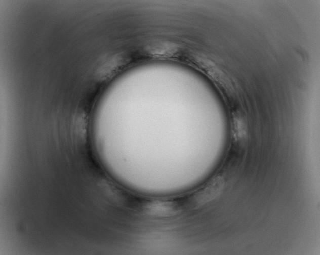 X0000116840664200912312056