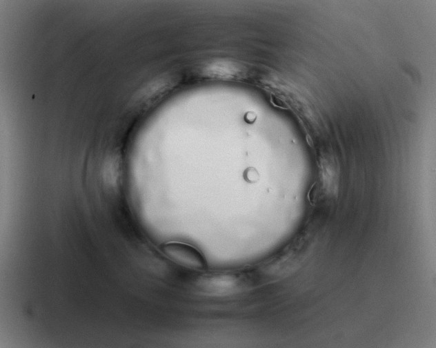 X0000116840665200912312056