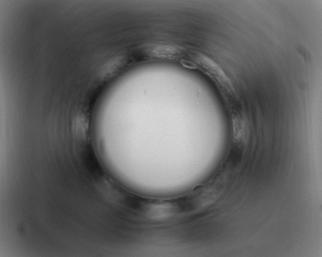 X0000116840669200912312056