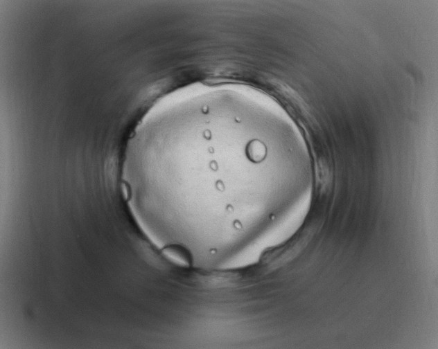 X0000116840670200912312056