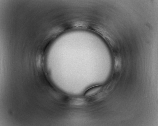 X0000116840671200912312056