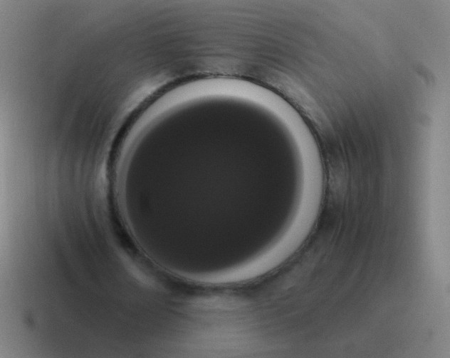 X0000116840674200912312055