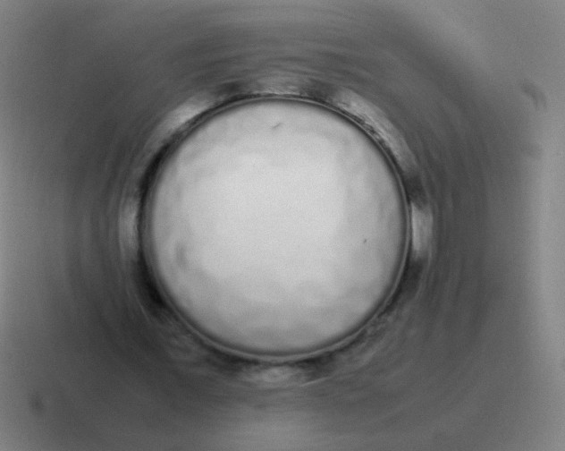 X0000116840675200912312055