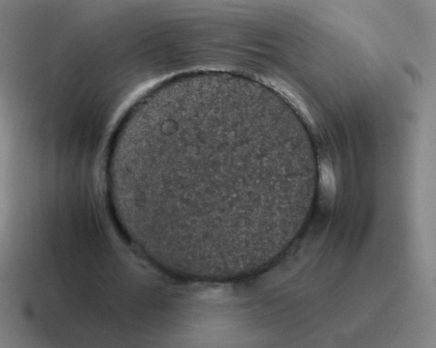 X0000116840676200912312055