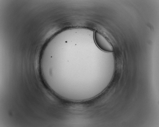 X0000116840677200912312055