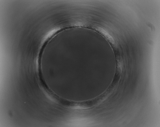 X0000116840678200912312055