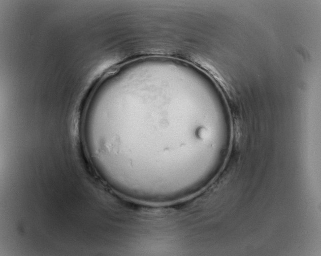 X0000116840679200912312055