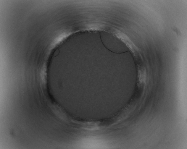 X0000116840680200912312055