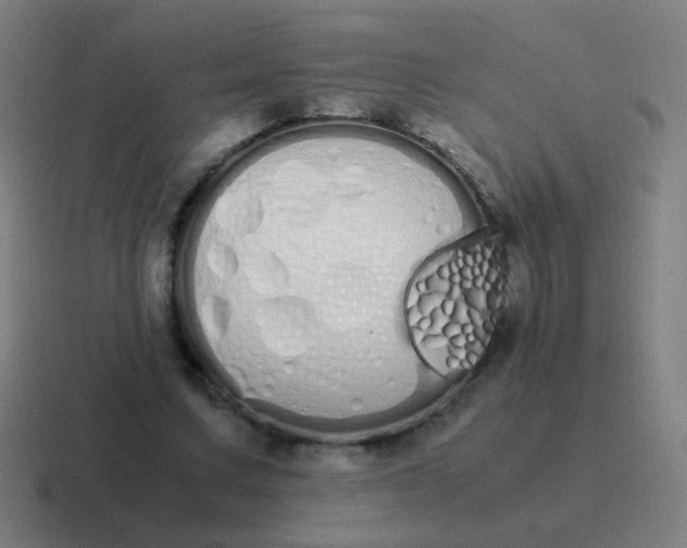 X0000116840683200912312055