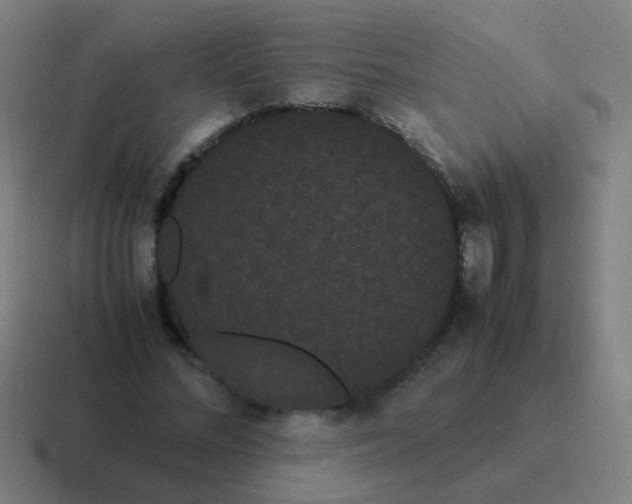 X0000116840684200912312055