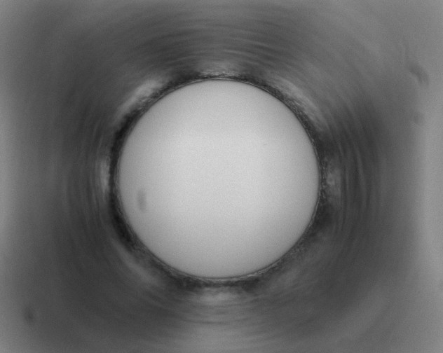 X0000116840686200912312055