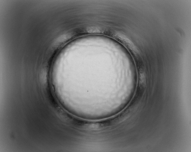 X0000116840687200912312055