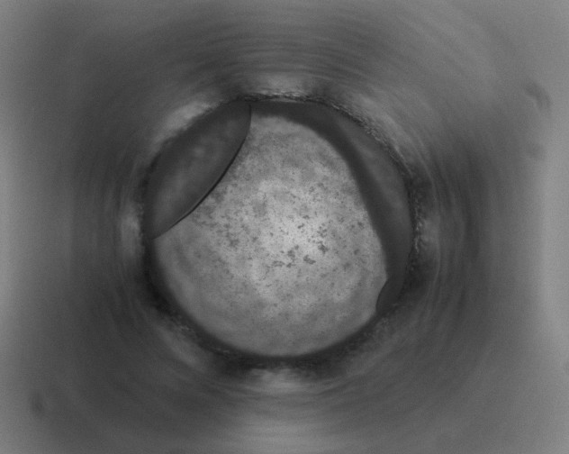 X0000116840688200912312055