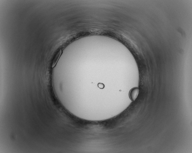 X0000116840689200912312055