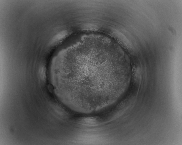 X0000116840692200912312055