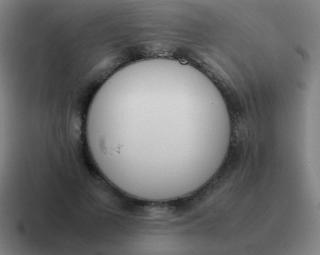 X0000116840693200912312055