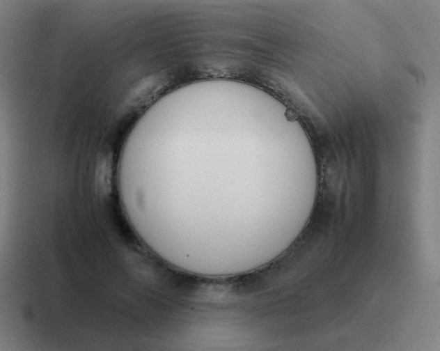 X0000116840694200912312055