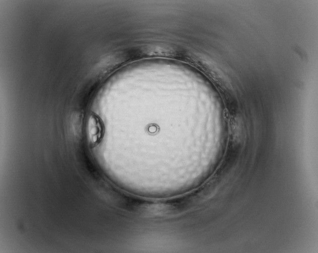 X0000116840695200912312055