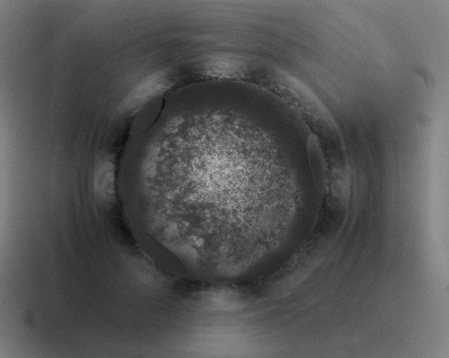 X0000116840696200912312055