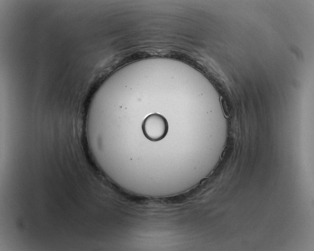 X0000116840697200912312055