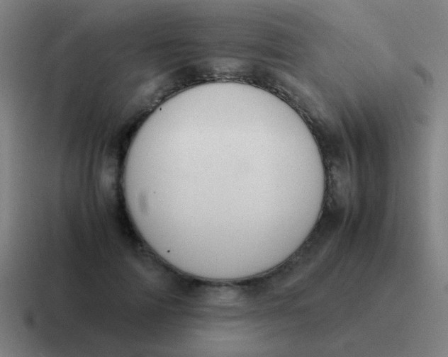 X0000116840698200912312055