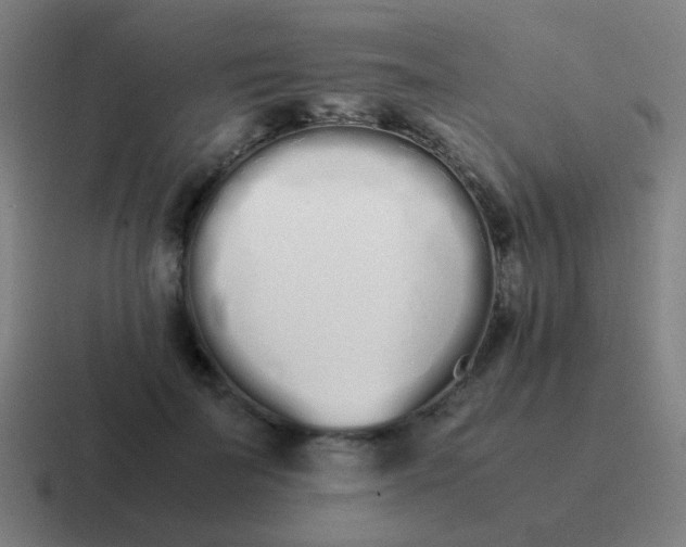 X0000116840699200912312055