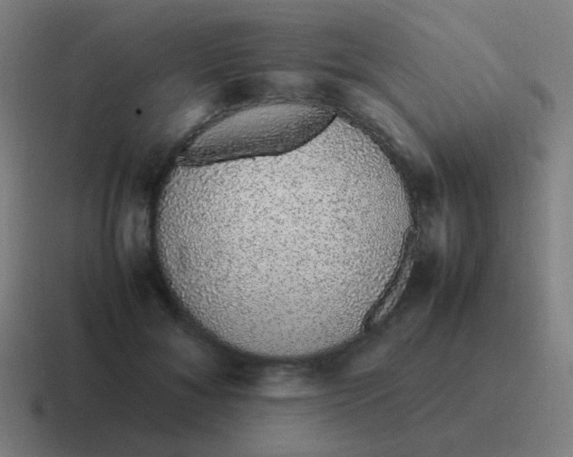 X0000116840700200912312055