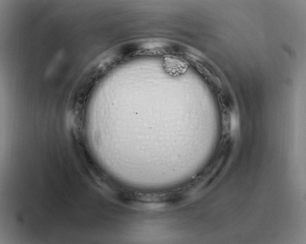 X0000116840701200912312055