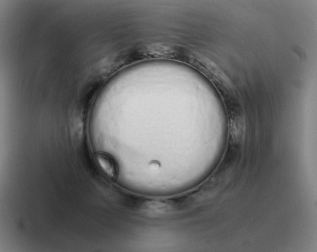 X0000116840703200912312055