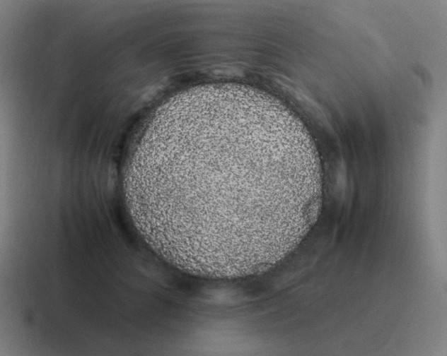 X0000116840704200912312055