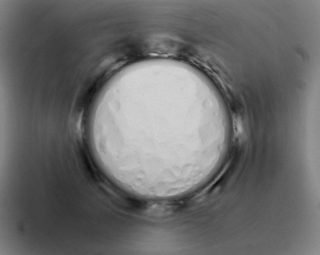 X0000116840705200912312055