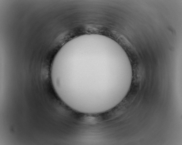 X0000116840706200912312055