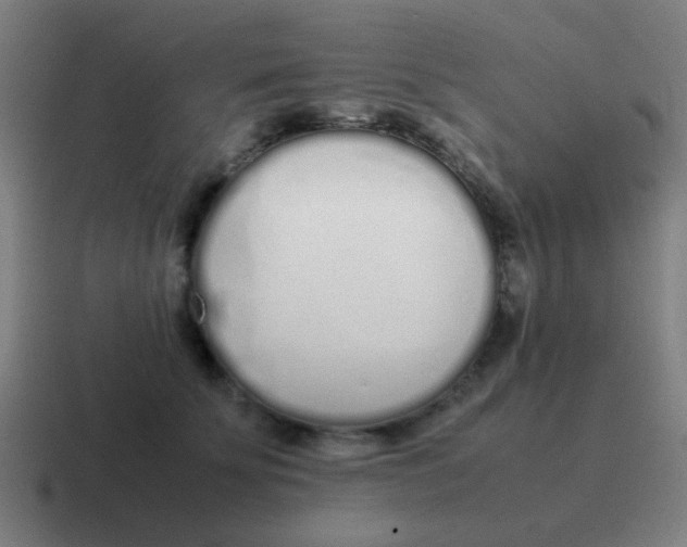 X0000116840707200912312055