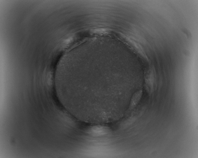 X0000116840708200912312055