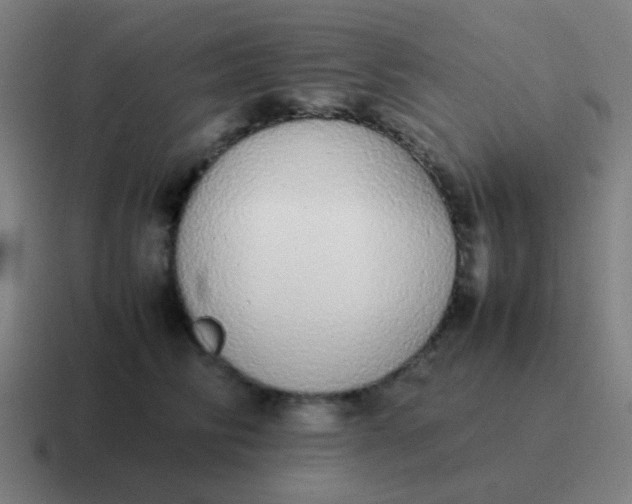 X0000116840710200912312055