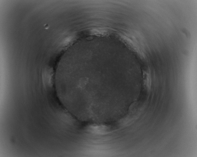 X0000116840712200912312055