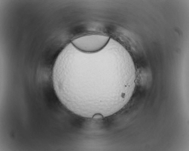 X0000116840713200912312055