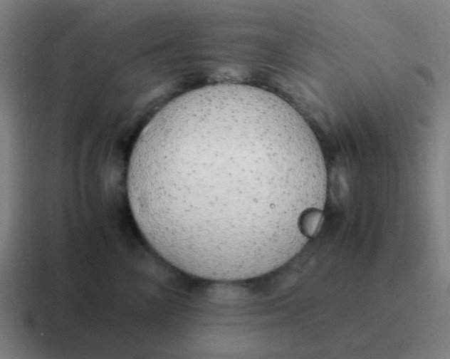 X0000116840714200912312055