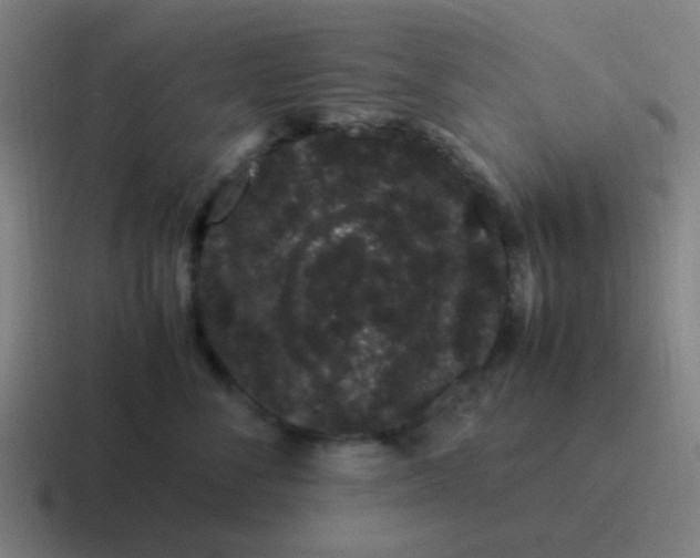 X0000116840716200912312055