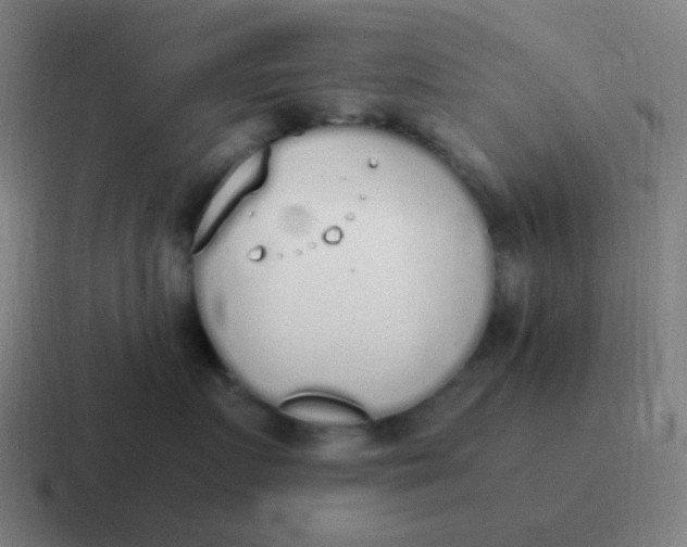 X0000116840719200912312055