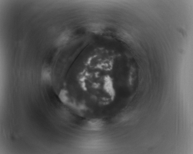 X0000116840720200912312055