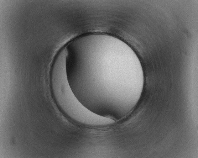 X0000116840721200912312054