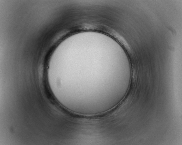 X0000116840722200912312054