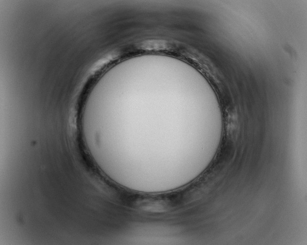 X0000116840727200912312054