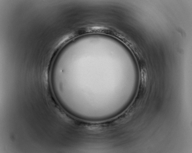 X0000116840729200912312054