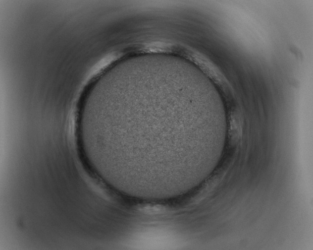 X0000116840730200912312054