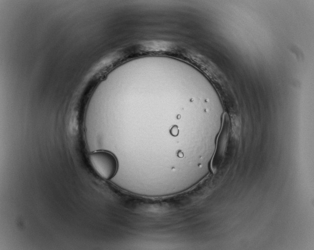 X0000116840731200912312054