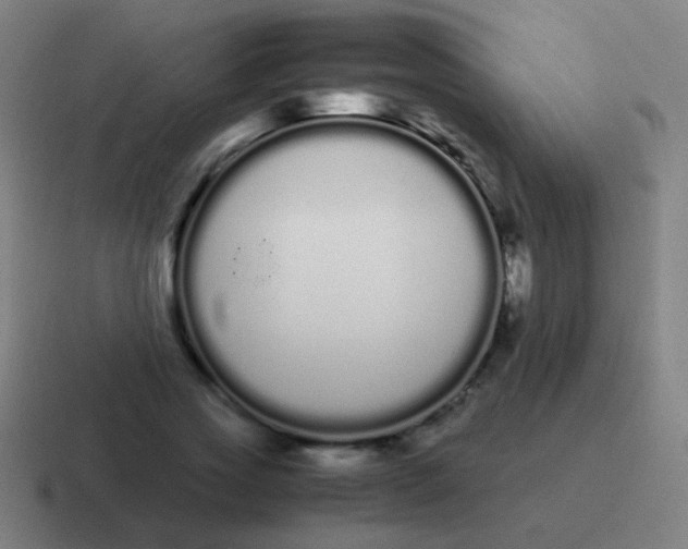 X0000116840733200912312054