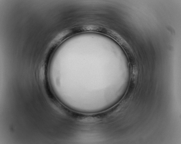 X0000116840734200912312054